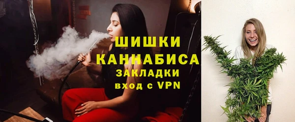 шишки Магас