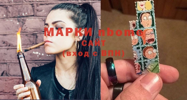 шишки Магас