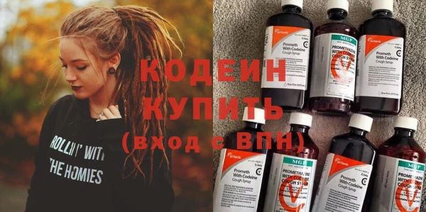 шишки Магас