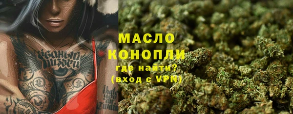 шишки Магас
