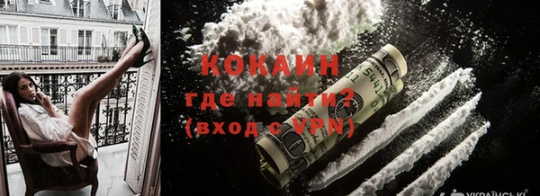 шишки Магас