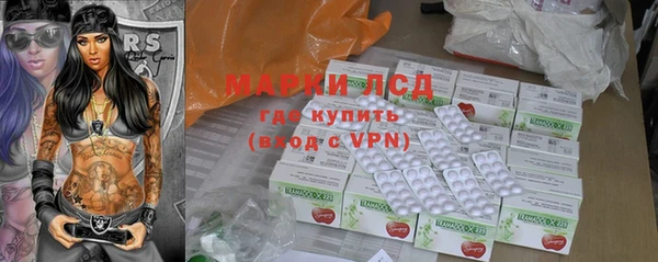 шишки Магас