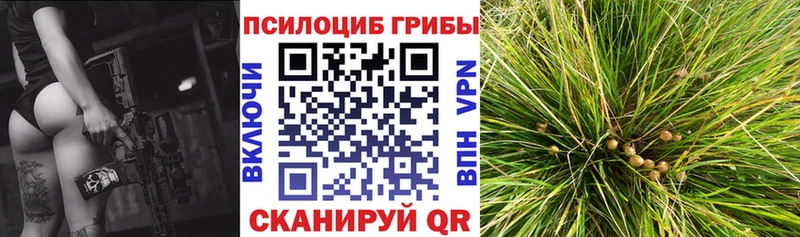 Галлюциногенные грибы MAGIC MUSHROOMS  Ленинградская 